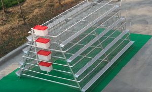 A-Type Manual Layer Cage System